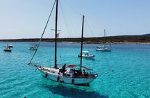 Sailing excursion in the Asinara National Park