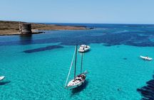 Sailing excursion in the Asinara National Park