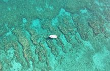 2 Dive Scuba Diving Reef Excursion to Key Largo Marine Sanctuary