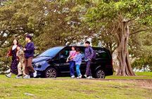 Sydney Harbour Whale Watching Experience