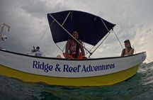 Explore Secluded Mexico Rocks and Stingray City