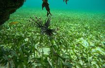 Explore Secluded Mexico Rocks and Stingray City