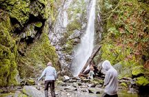 Waterfall, Skywalk, Lagoon Picnic, Castle and Whales in Victoria