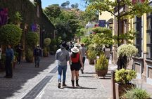 Guided Full Day Tour to Tequila and Cantaritos el Guero