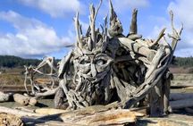 Waterfall, Skywalk, Lagoon Picnic, Castle and Whales in Victoria