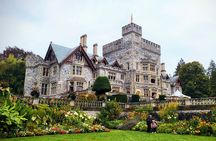 Waterfall, Skywalk, Lagoon Picnic, Castle and Whales in Victoria