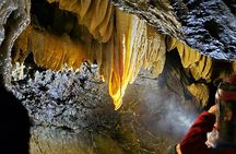 Wildlife, Waterfalls, Caves, Old Growth on Vancouver Island