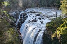 Wildlife, Waterfalls, Caves, Old Growth on Vancouver Island