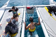 Snorkeling Adventure at Turtle Canyon