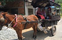 Cu Chi Tunnels & Mekong Delta Full Day Tour Muslim Friendly