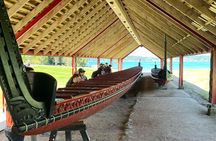 Auckland to Paihia via West Coast Small Group Tour (One Way)