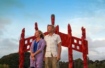 Auckland to Paihia via West Coast Small Group Tour (One Way)