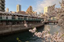 Retro Yokohama Bar Hopping 101 for First Timers in Noge