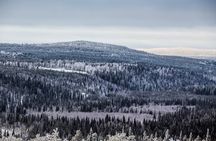 Auttikongas Canyon and Waterfall Adventure