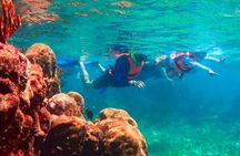 Puerto Morelos Snorkeling: Discover Vibrant Underwater Life