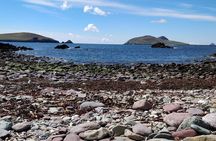 Dingle and Slea Head Private Scenic Tour