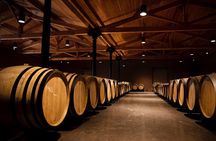 Château de Fieuzal, Pessac-Léognan: Visit and Tasting