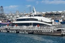 Robben Island Guided Tour with Ferry and Hotel Pickup