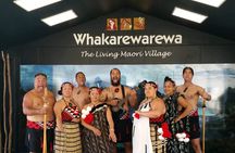 Auckland : Rotorua Living Maori Village with Haka and Hangi Lunch