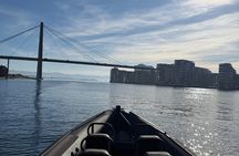 Stavanger Boat Tour with Pulpit Rock, Waterfalls and Goats