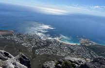 Cape Town Half-Day Table Mountain Tour with Cable Car Ticket