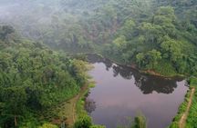 Guwahati Tea Garden Tour with Lunch & Hi Tea (Premium Experience)