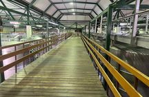 Private Stellenbosch and Franschhoek Wine Tour with Tram Ticket