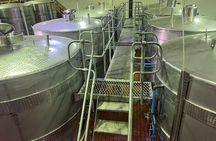 Luxury Private Wine Tour: Stellenbosch & Franschhoek