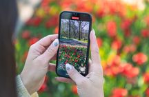 From Amsterdam: Keukenhof Gardens Ticket and Transfer