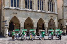 Private guided rickshaw city tour in Munster