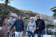 Next-Generation Local Guide: Private Kobe Tour 