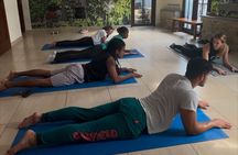 Serene Yoga Escape in Historic Casco Viejo - Everyone Welcome!