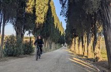 Rome: Frascati Vineyard Bike Tour with Train Tickets