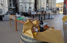 Rome: Frascati Vineyard Bike Tour with Train Tickets