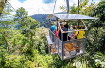 Sky Gondola and Trails at Veragua Rainforest