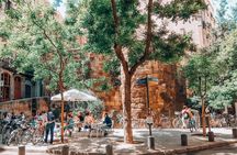 Introduction to Barcelona Old Town Gothic Quarter Walking Tour