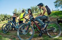 E bike Rome's Outskirts: Unveil Marco Carpineti's Estates