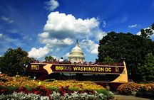 Best of DC: Hop-on Hop-off, Night Tour, and Arlington Audio Guide