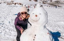 Snow Day: Panoramic Scenic Escape to the Andes