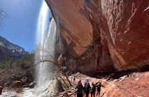 Zion National Park: Half Day Insider 