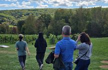 Nova Scotia Wine and Lobster Experience from Halifax