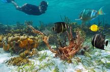 Biosphere Sian Ka'an All Day Experience 