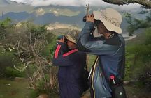 Sucre Hike, Explore and Discover Monte Villca Protected Park