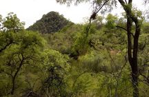 Sucre Hike, Explore and Discover Monte Villca Protected Park