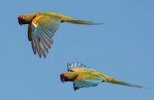 Sucre Hike, Explore and Discover Monte Villca Protected Park