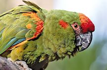 Sucre Hike, Explore and Discover Monte Villca Protected Park