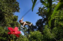 Original Canopy Tour at Veragua Rainforest