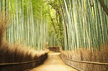 A trip to Kyoto and Osaka in one day