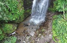 From Batumi: UNESCO World heritage site -Waterfall & Lake view