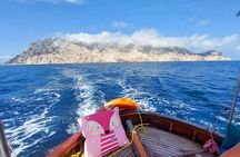 Half Day Boat Tour in Tavolara and Molara 